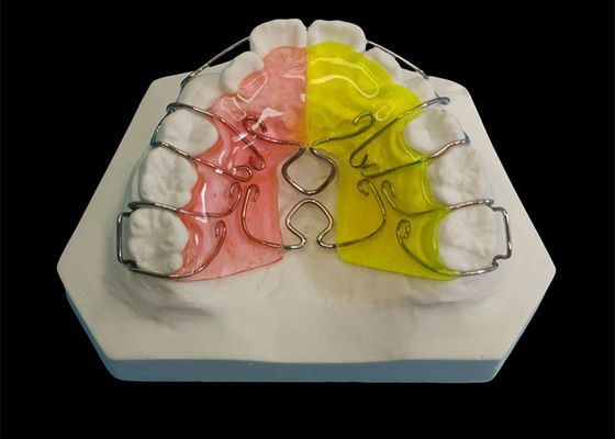 Acheter Appareils orthodontiques réglables sur mesure, cliniquement éprouvés pour l'alignement des dents online manufacture