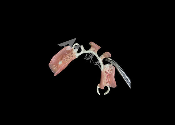 acheter Les prothèses dentaires HPP légères et durables Le mélange parfait de force et de confort online manufacture