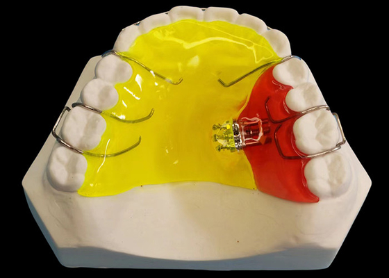 Bon prix Appareils orthodontiques amovibles à trois directions pour les besoins des clients à des prix compétitifs en ligne