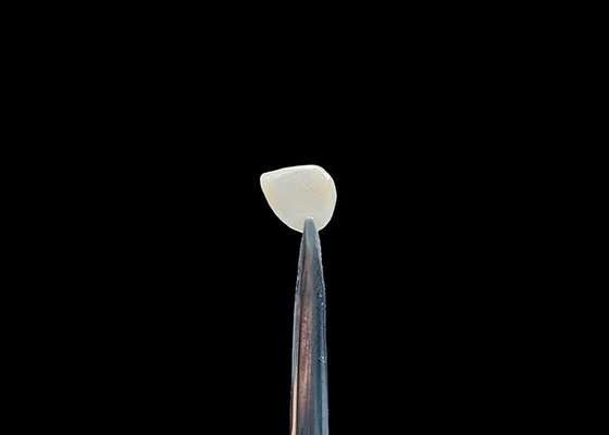 Bon prix Précision 0,2-0,5 mm EMAX Faisceaux dentaires cosmétiques à l'aspect naturel en ligne
